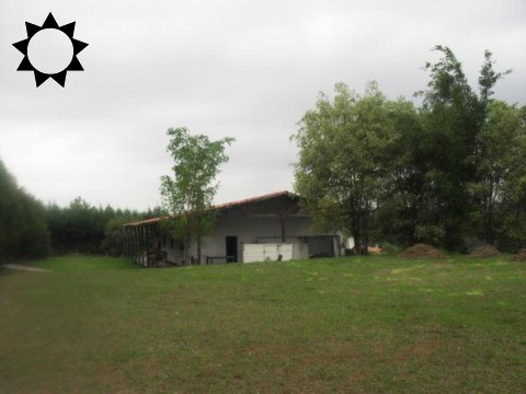 Loteamento e Condomínio, 2 hectares - Foto 2