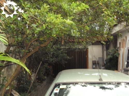 Casa, 3 quartos, 317 m² - Foto 4
