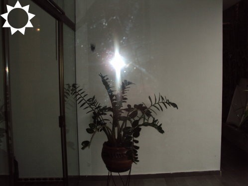 Casa, 3 quartos, 317 m² - Foto 9