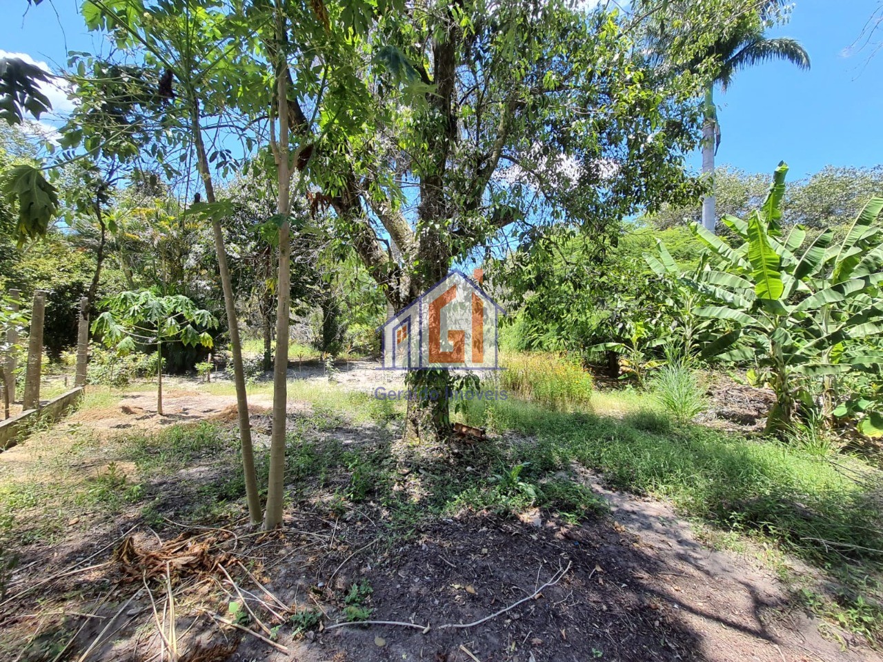 Fazenda, 3 quartos - Foto 40