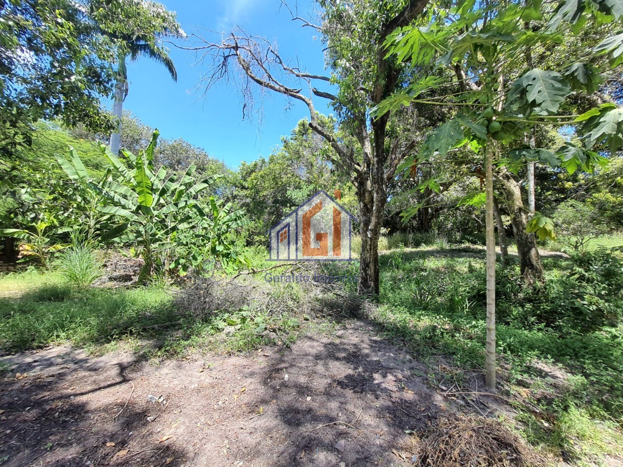Fazenda, 3 quartos - Foto 41
