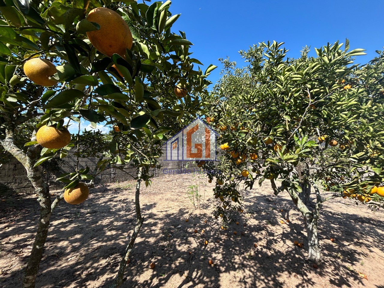 Fazenda, 3 quartos - Foto 51