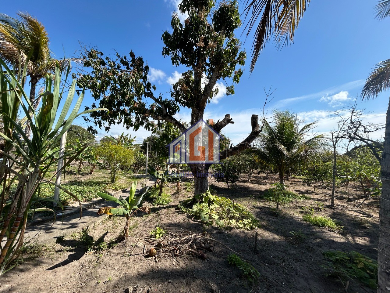 Fazenda, 3 quartos - Foto 49