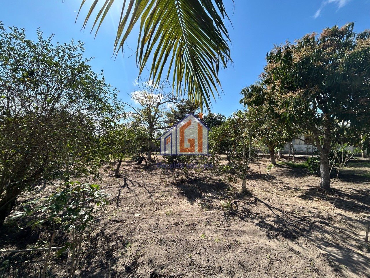 Fazenda, 3 quartos - Foto 47