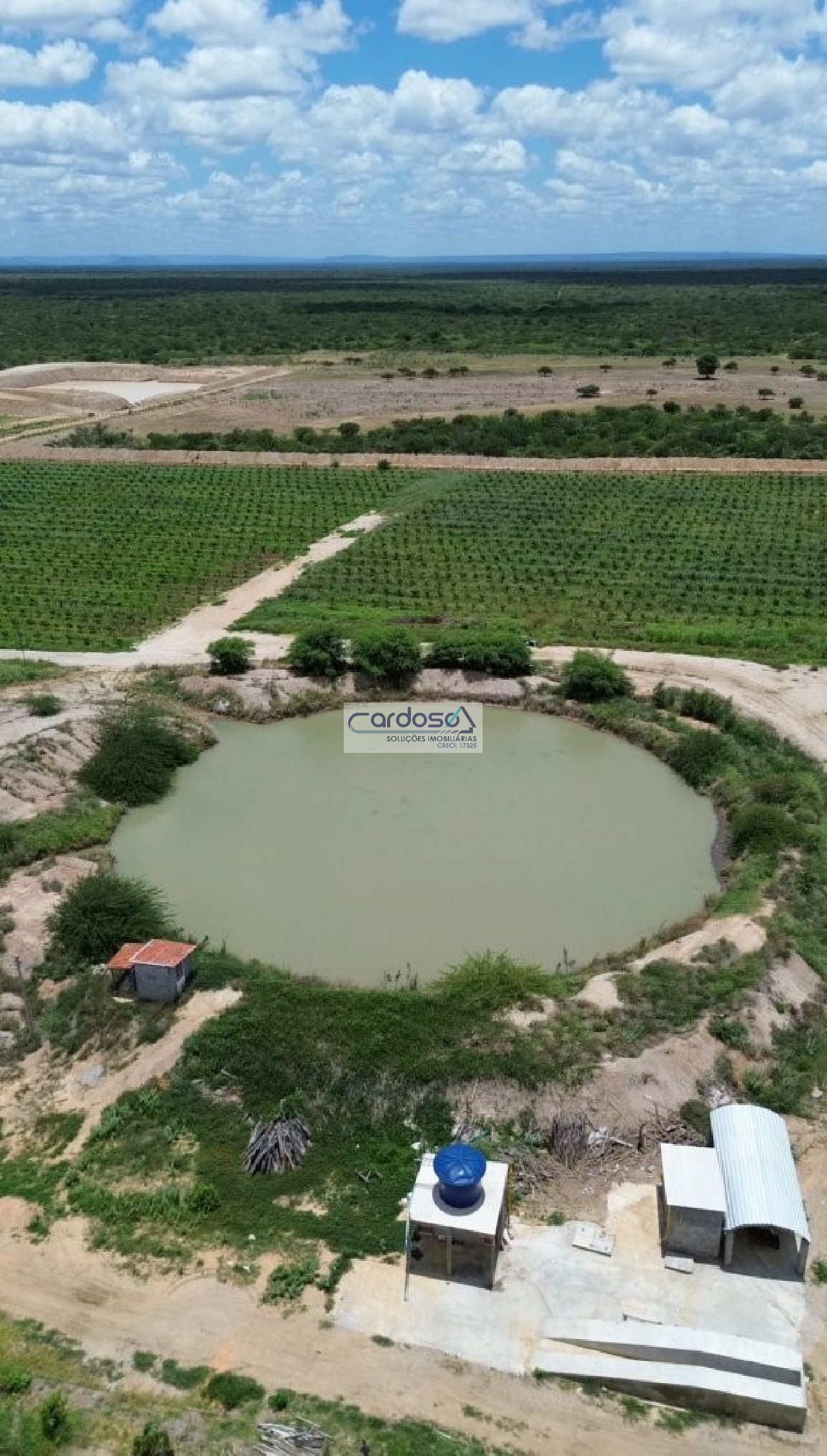 Fazenda - Foto 8