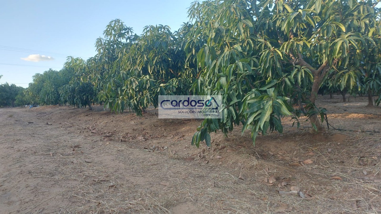 Chácara à venda com 1 quarto, 2m² - Foto 6