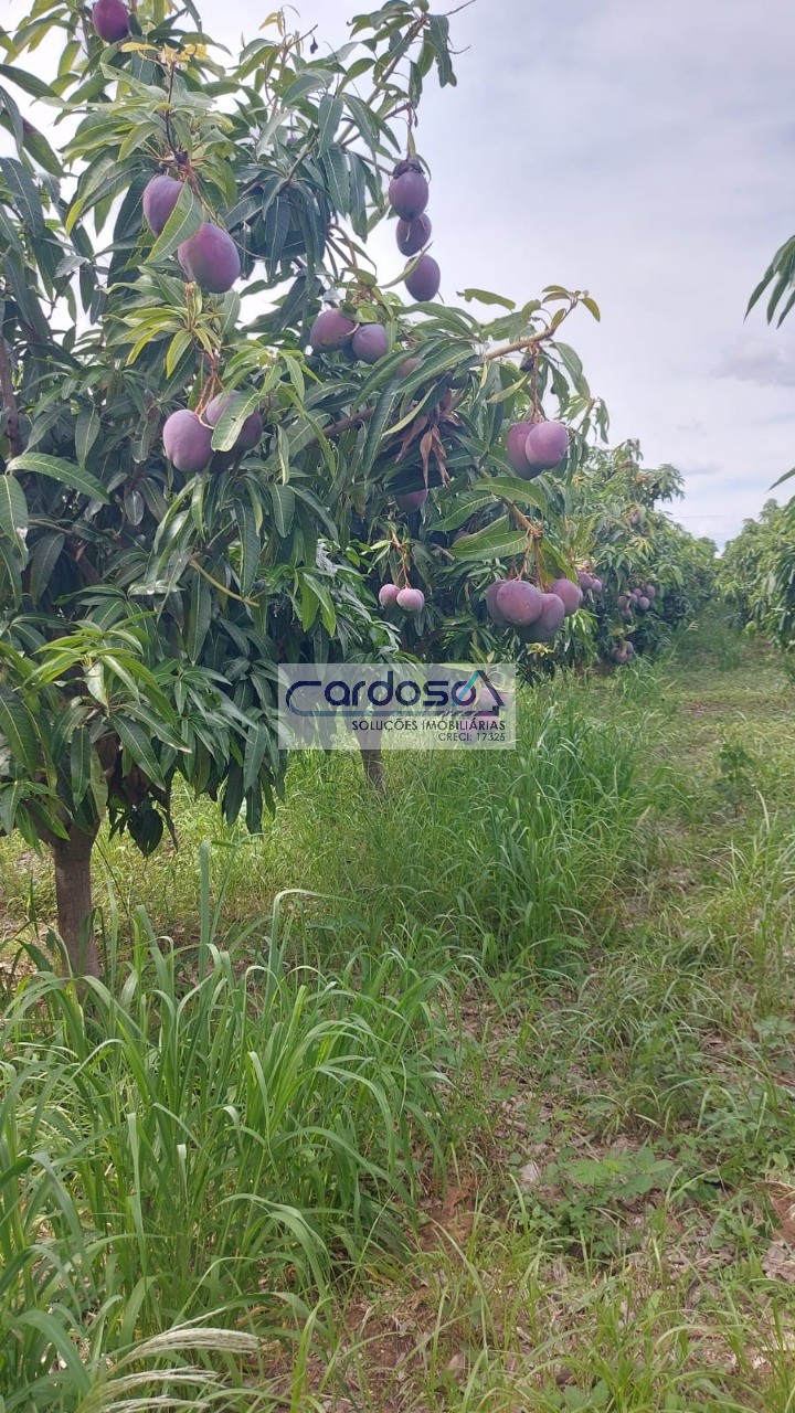 Chácara à venda com 1 quarto, 2m² - Foto 16