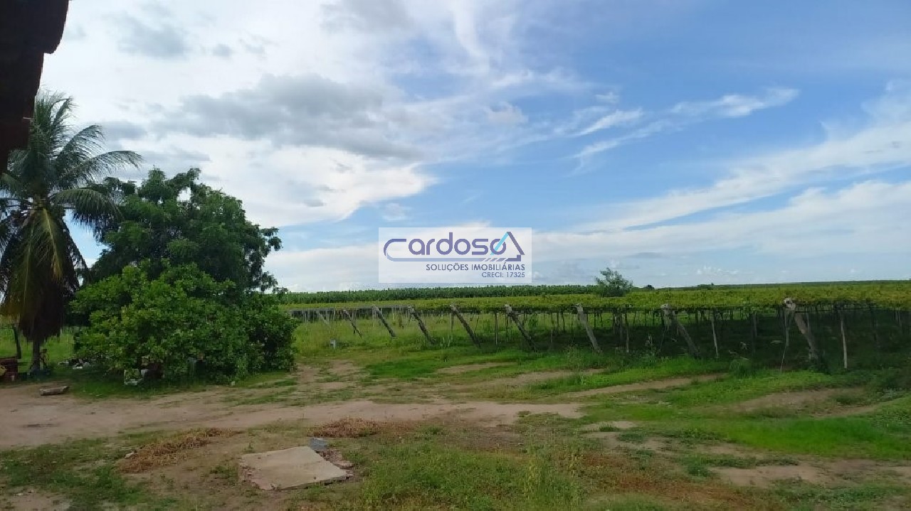 Fazenda à venda - Foto 3