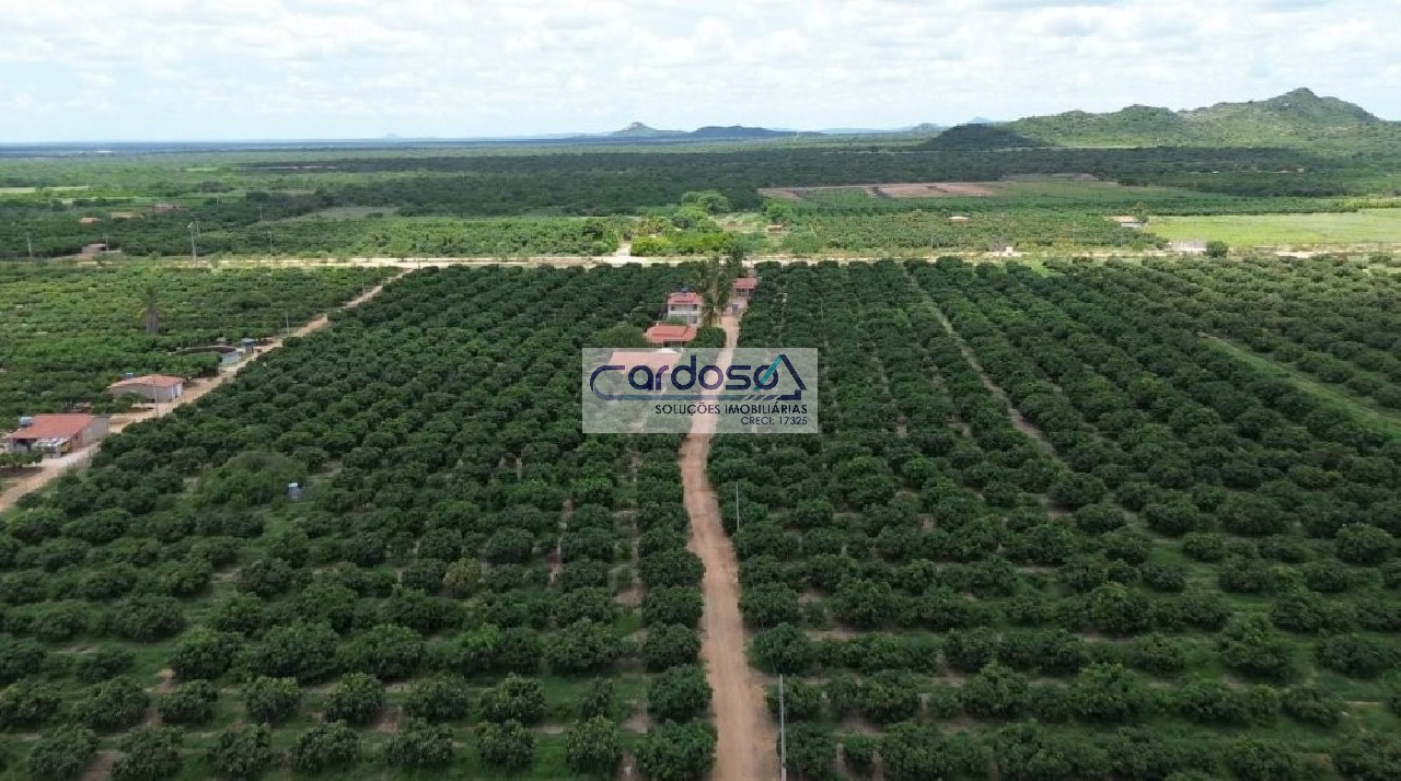 Fazenda - Foto 3
