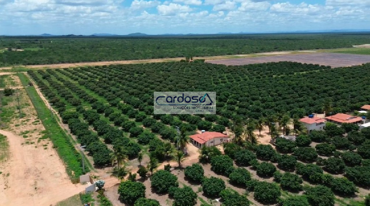 Fazenda - Foto 4