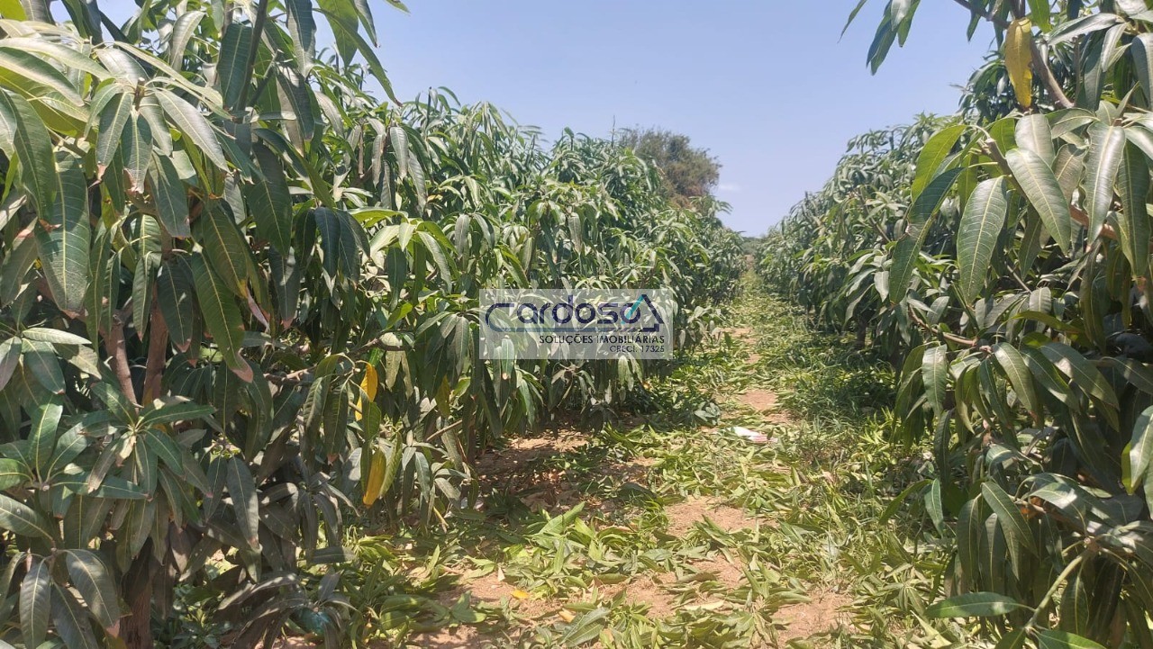 Chácara à venda com 1 quarto, 2m² - Foto 26