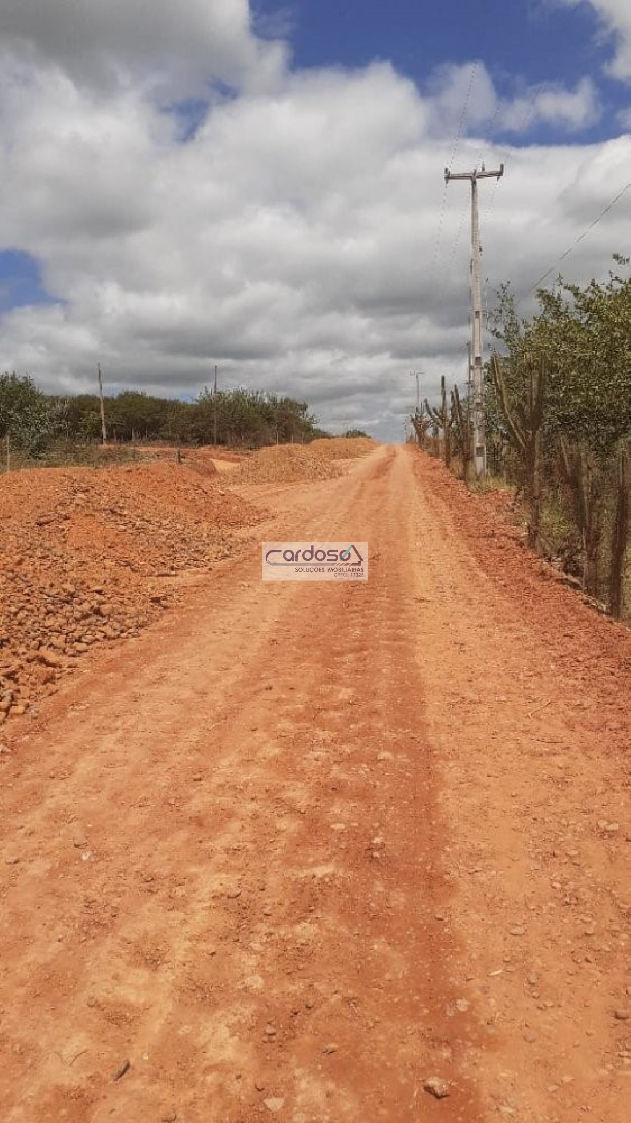 Sítio à venda - Foto 4