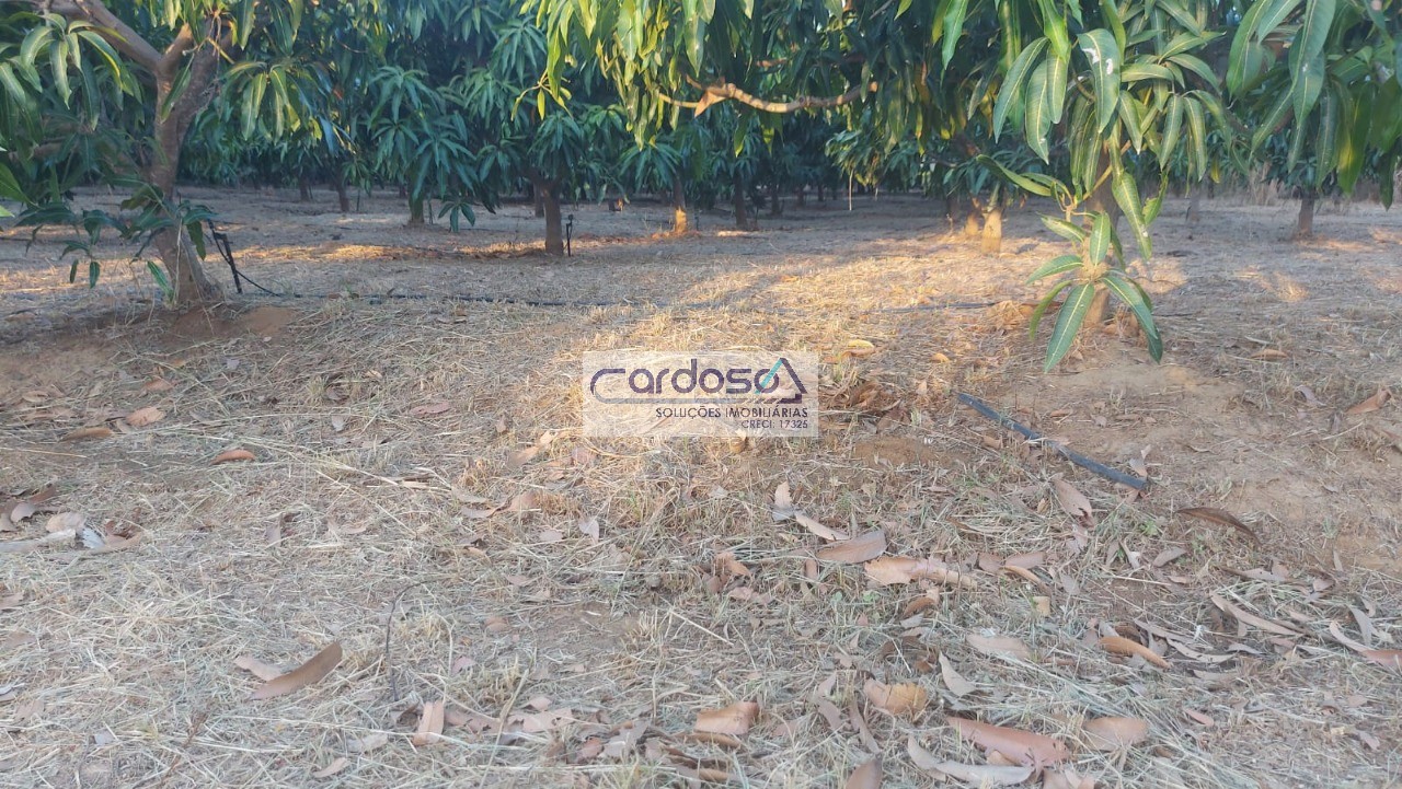 Chácara à venda com 1 quarto, 2m² - Foto 2