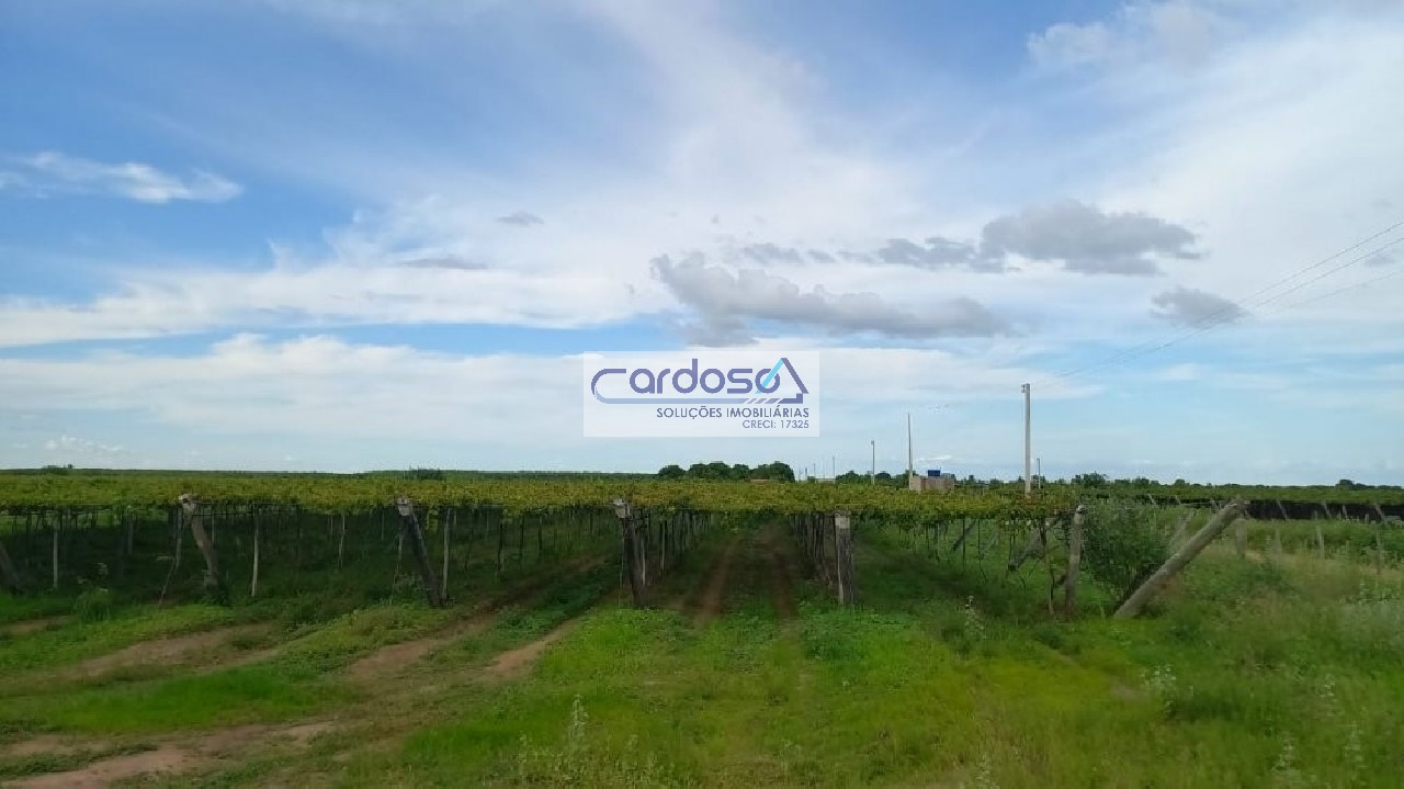 Fazenda à venda - Foto 1
