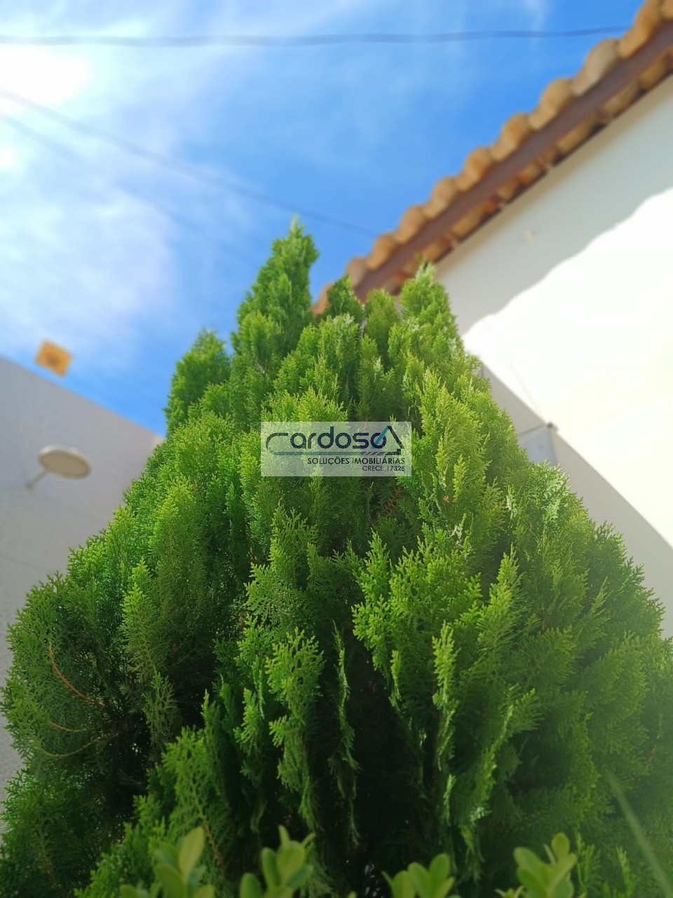 Casa, 3 quartos - Foto 25