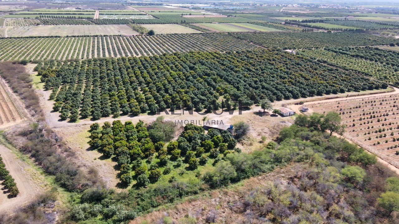 Terreno, 10 m² - Foto 3