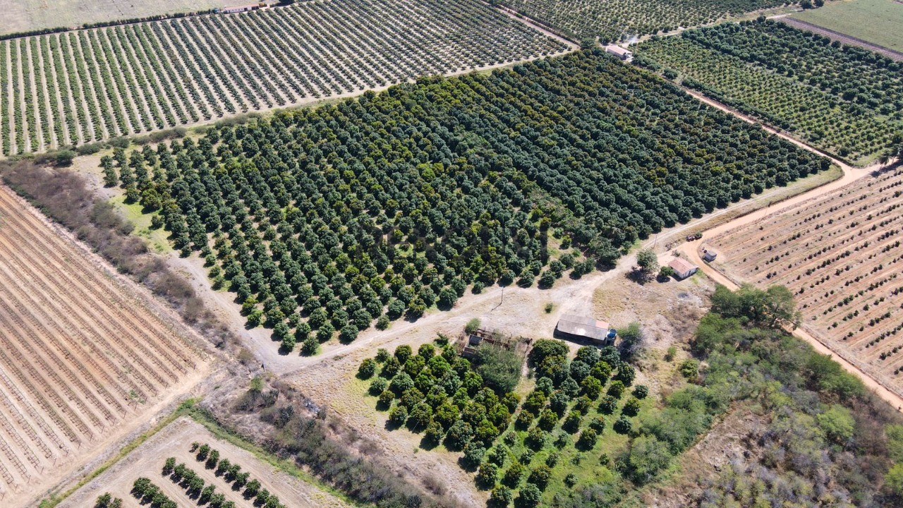 Terreno, 10 m² - Foto 2
