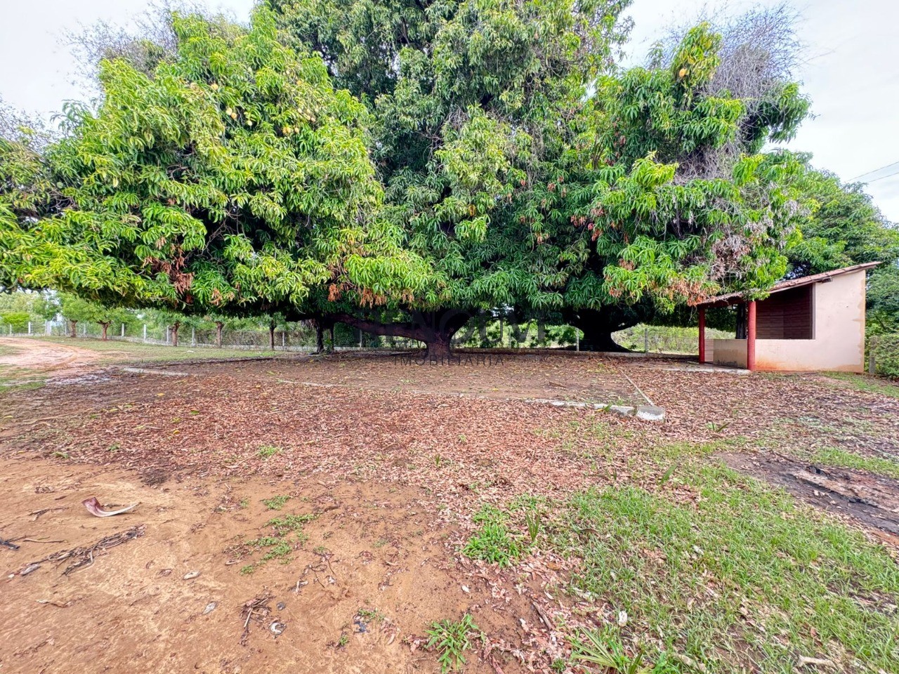 Terreno, 700 m² - Foto 8