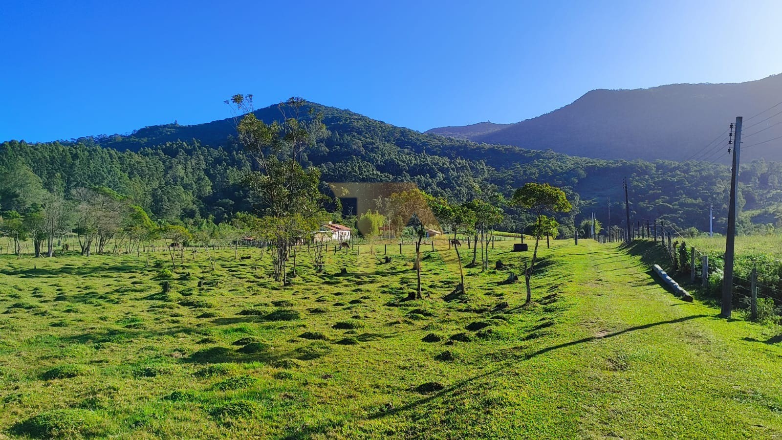 Sítio encantador 2 hectares com 2 casas construídas à venda 