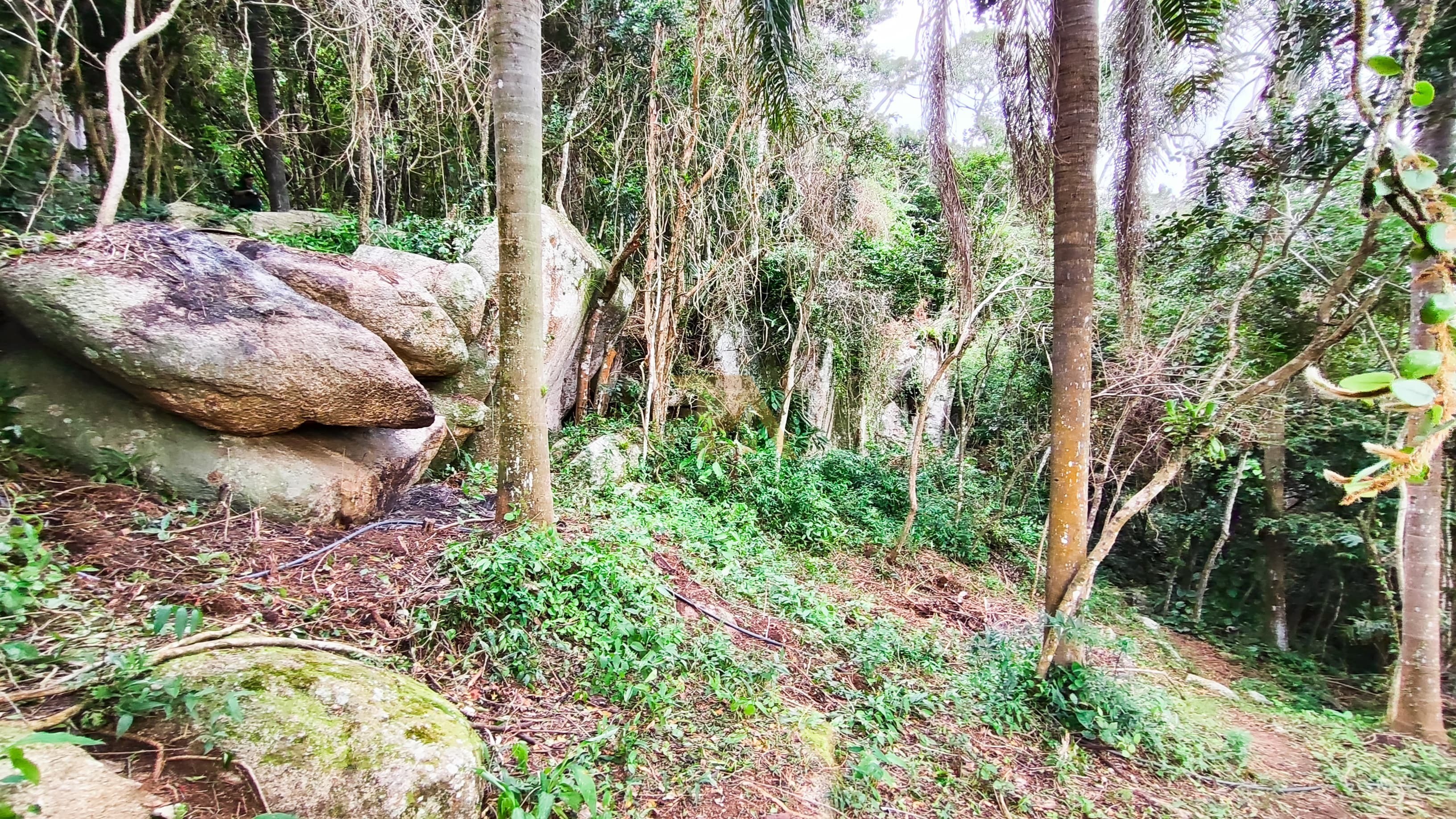 Casa em meio a Natureza no Caminho do Rei Praia do Rosa, Imbituba - SC