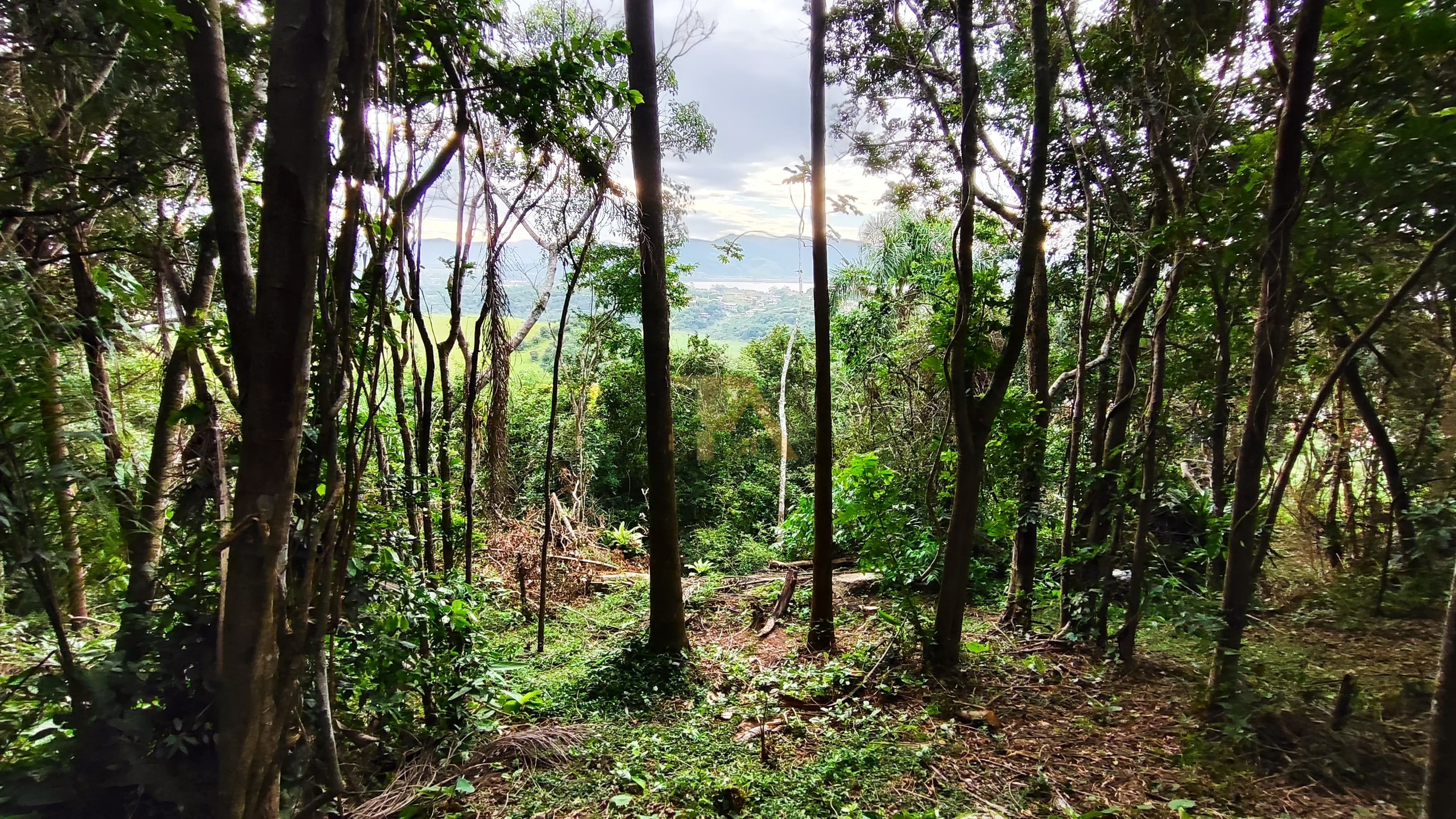 Casa em meio a Natureza no Caminho do Rei Praia do Rosa, Imbituba - SC