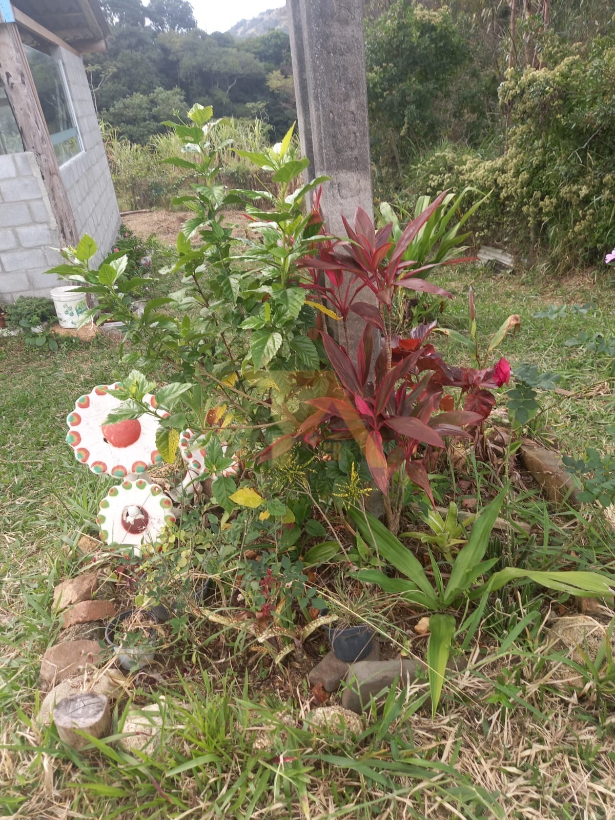 Casa com Terreno de 4800m² Residencial - Rural Imaruí - SC