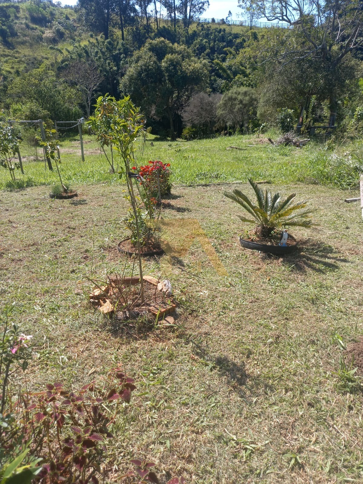 Casa com Terreno de 4800m² Residencial - Rural Imaruí - SC