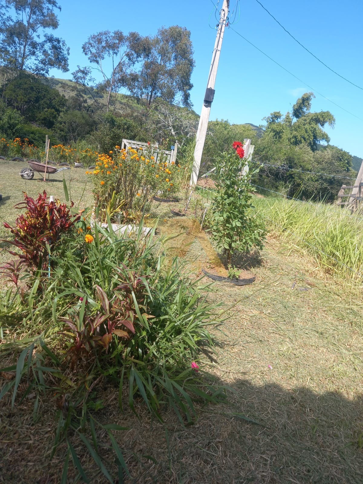 Casa com Terreno de 4800m² Residencial - Rural Imaruí - SC