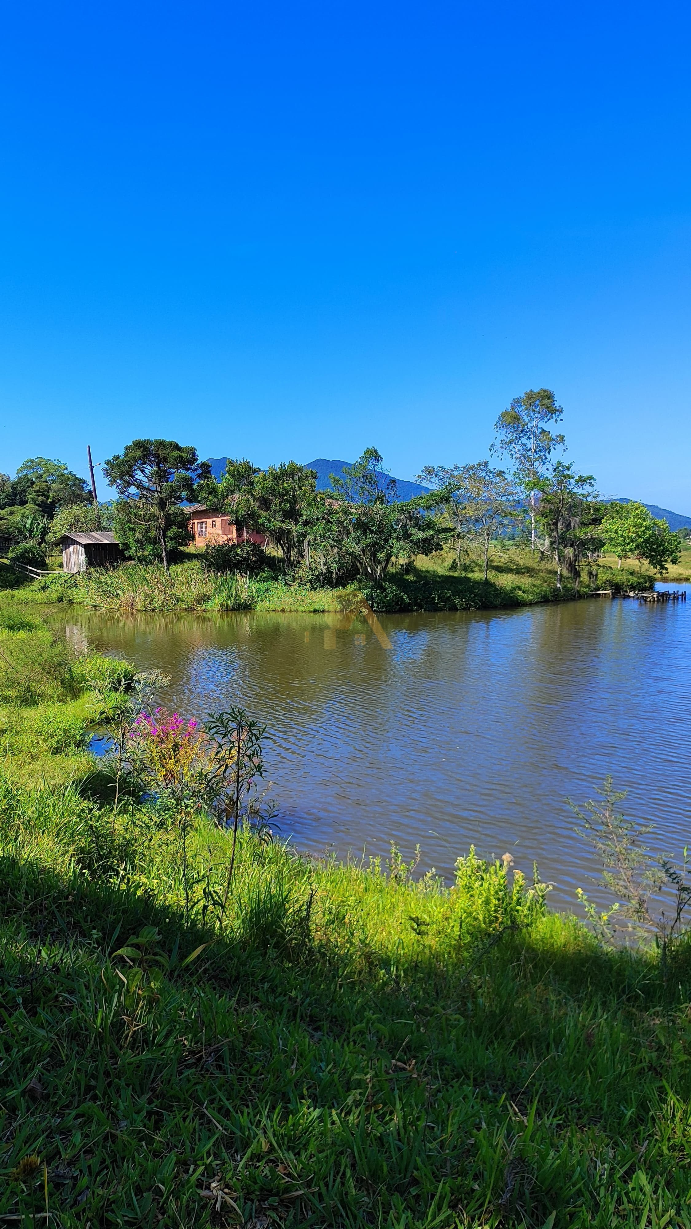Terreno, 10 hectares - Foto 18