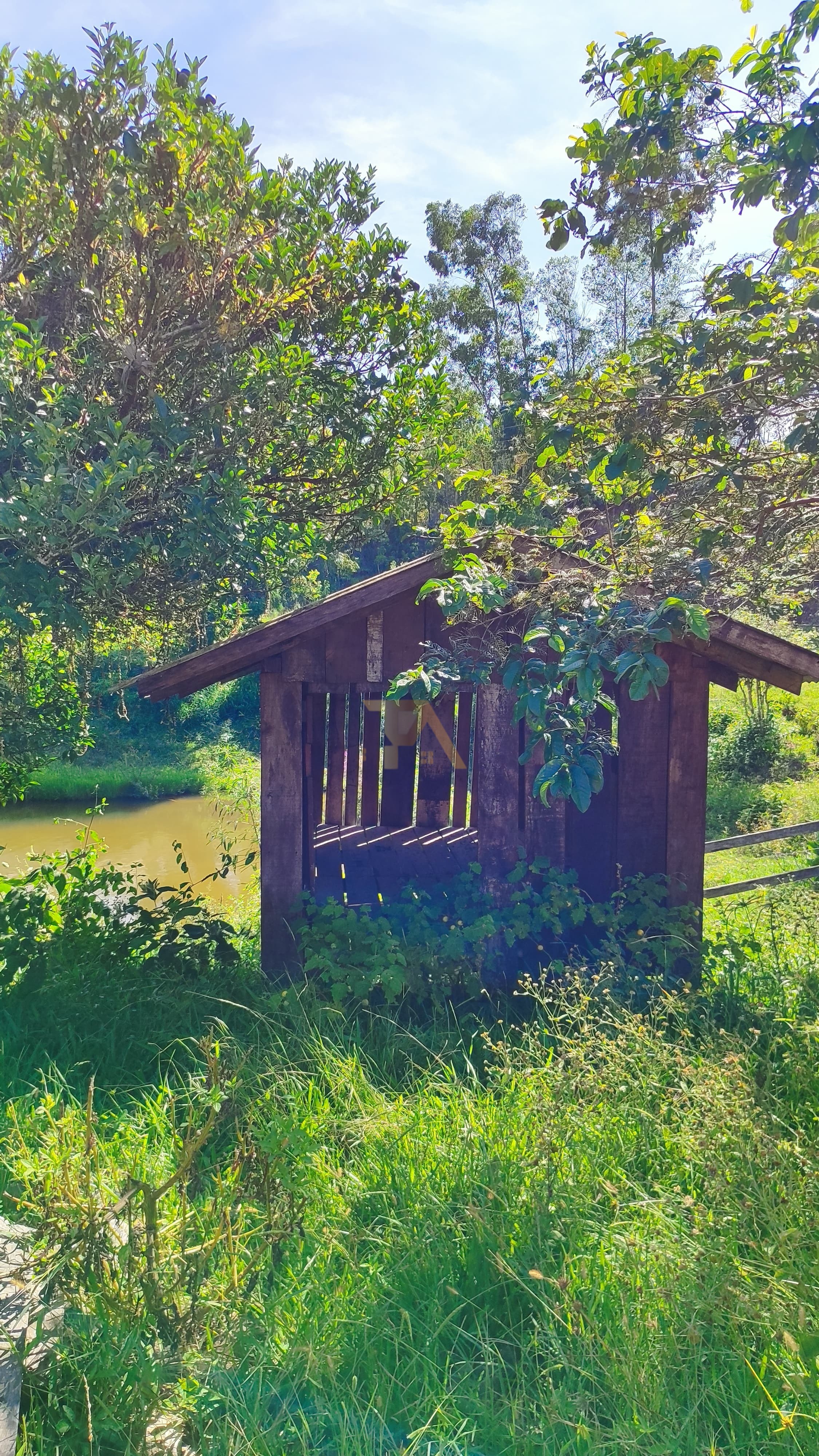 Terreno, 10 hectares - Foto 11