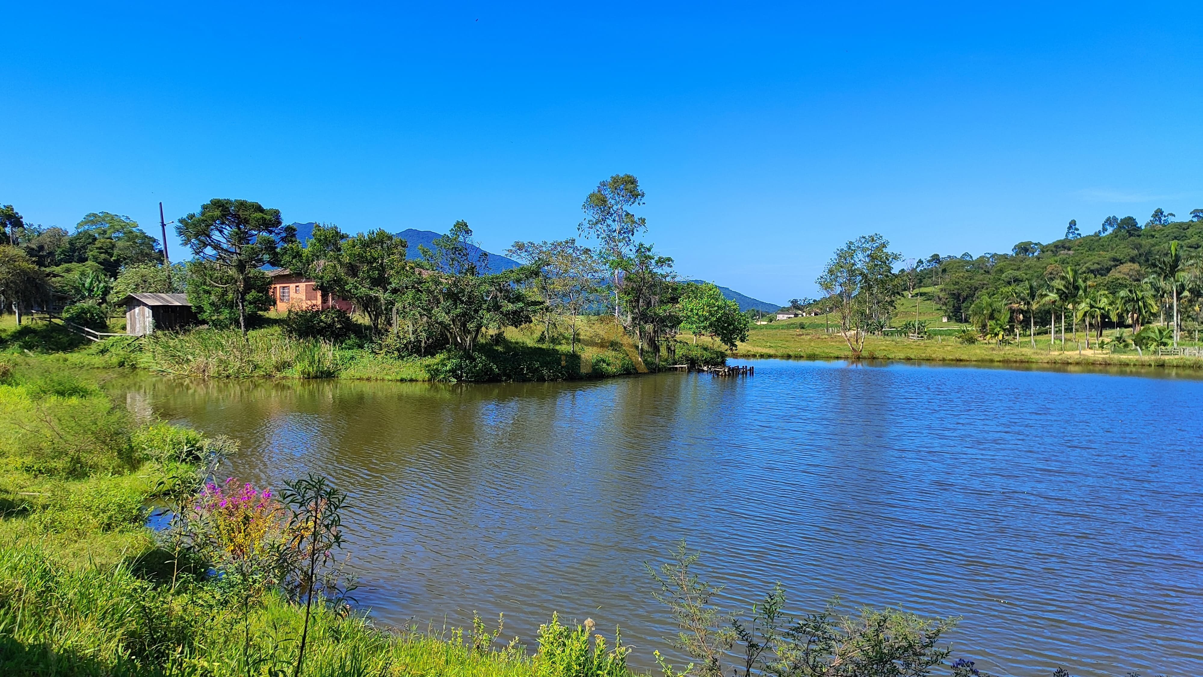 Terreno, 10 hectares - Foto 19