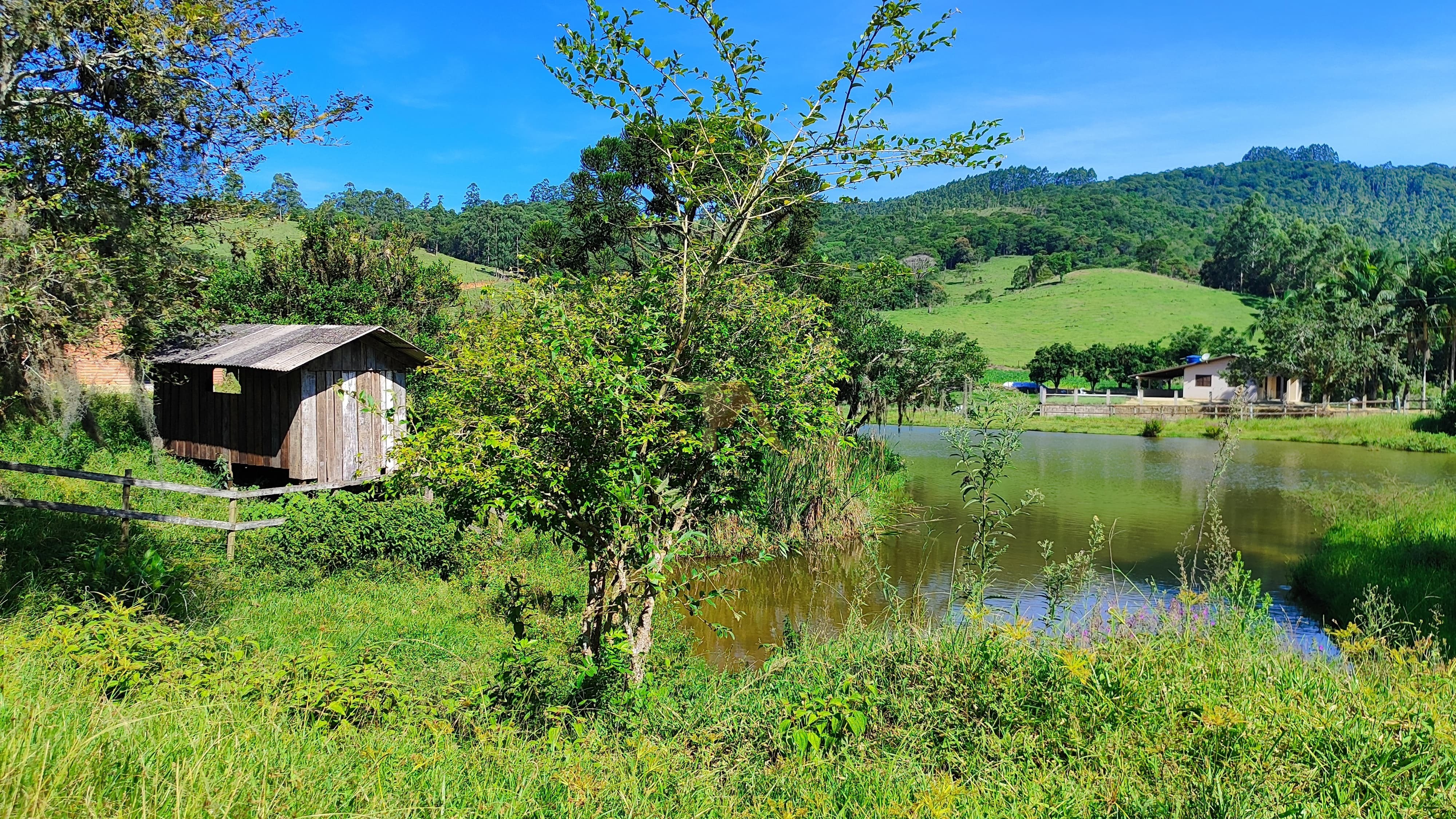 Terreno, 10 hectares - Foto 17