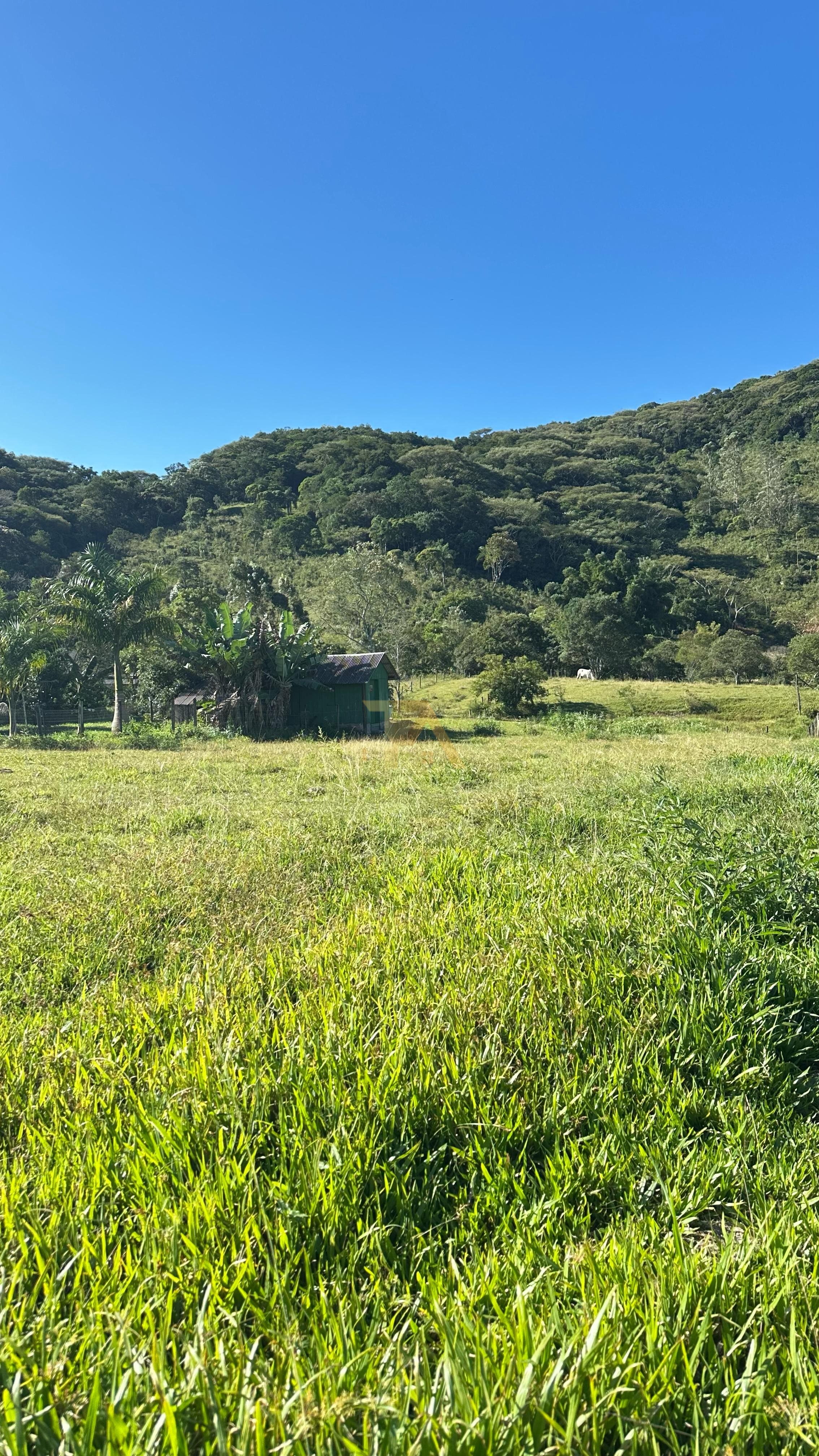 Terreno, 4919 m² - Foto 11
