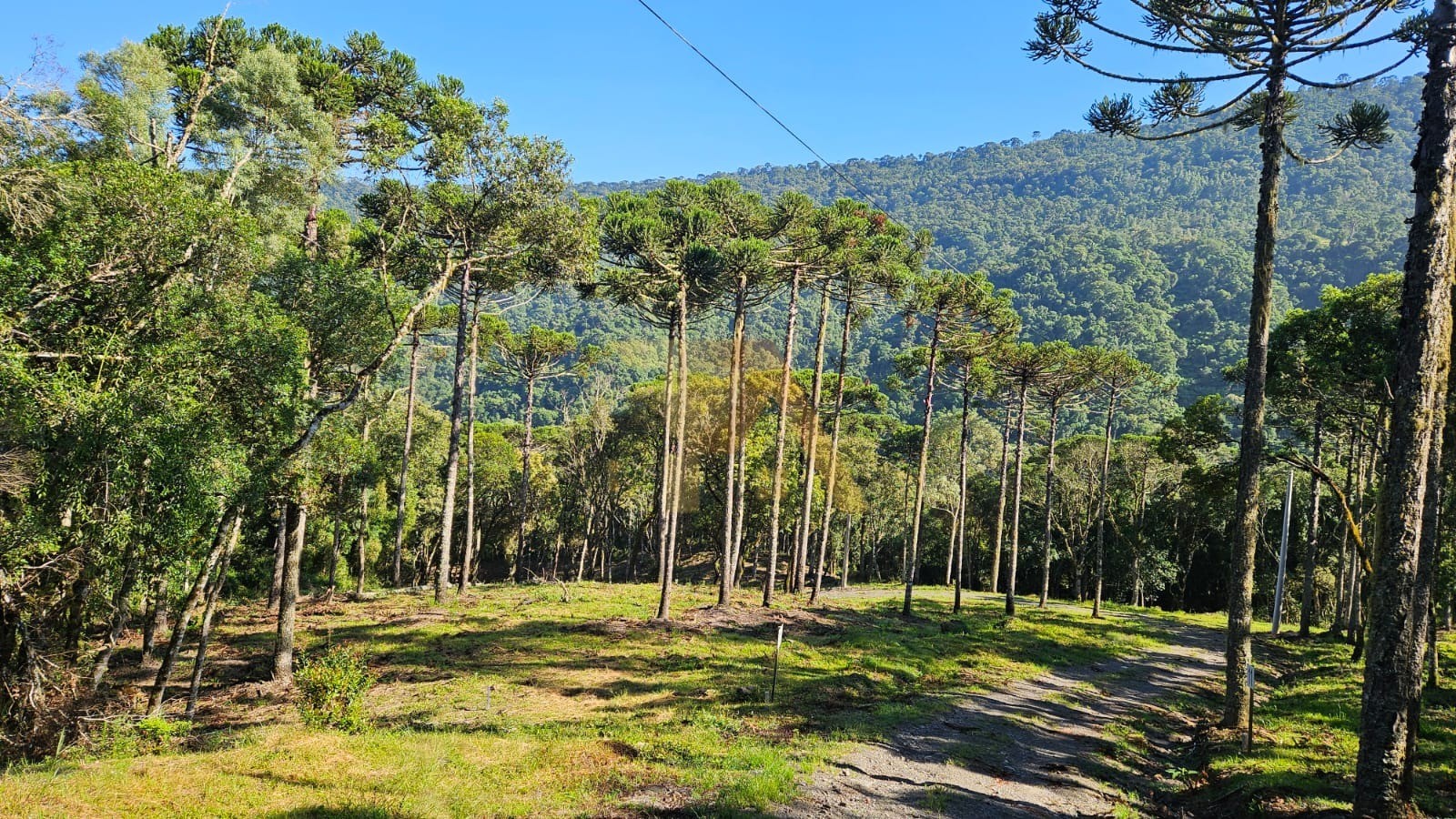 Fazenda/sítio/chácara/haras à venda  no Santa Tereza - Urubici, SC. Imóveis