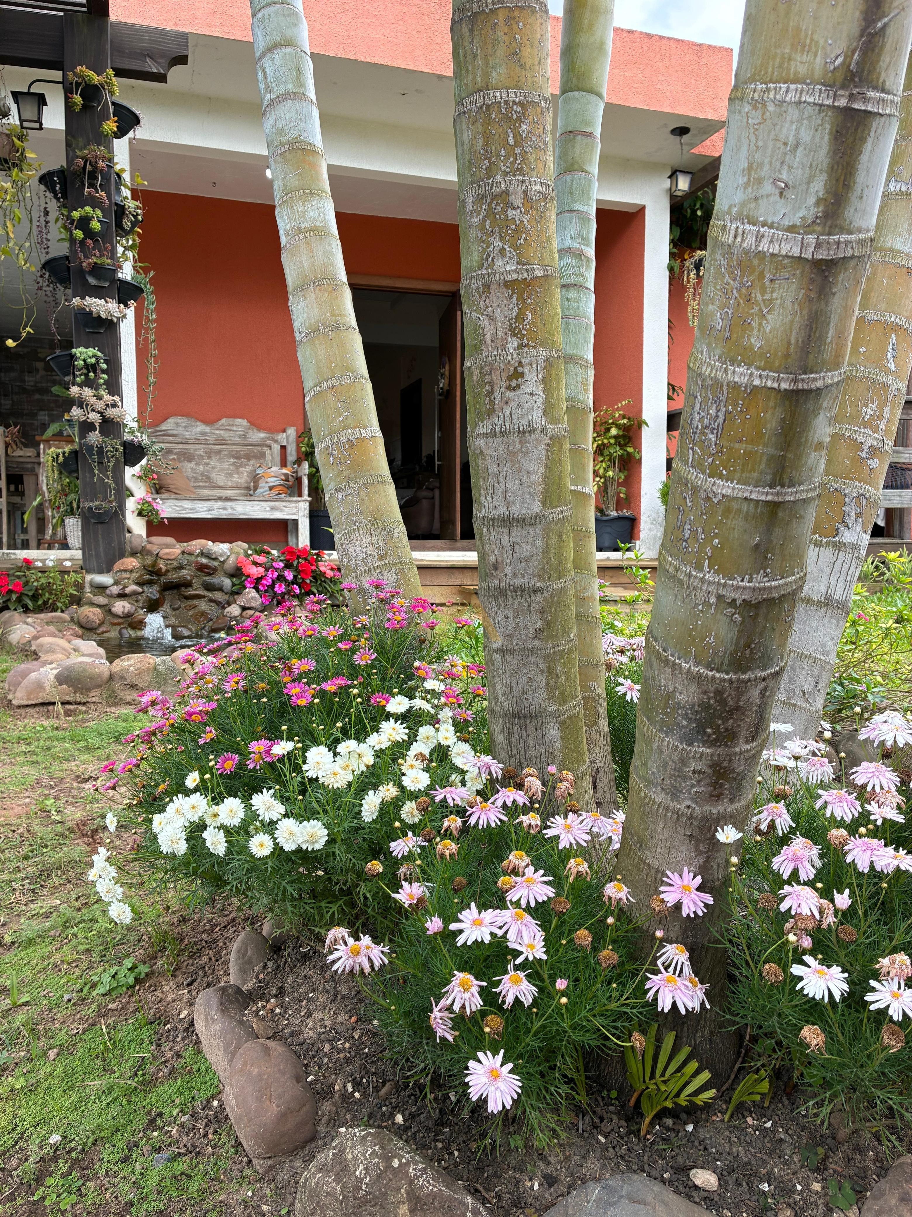 Casa, 3 quartos, 215 m² - Foto 19