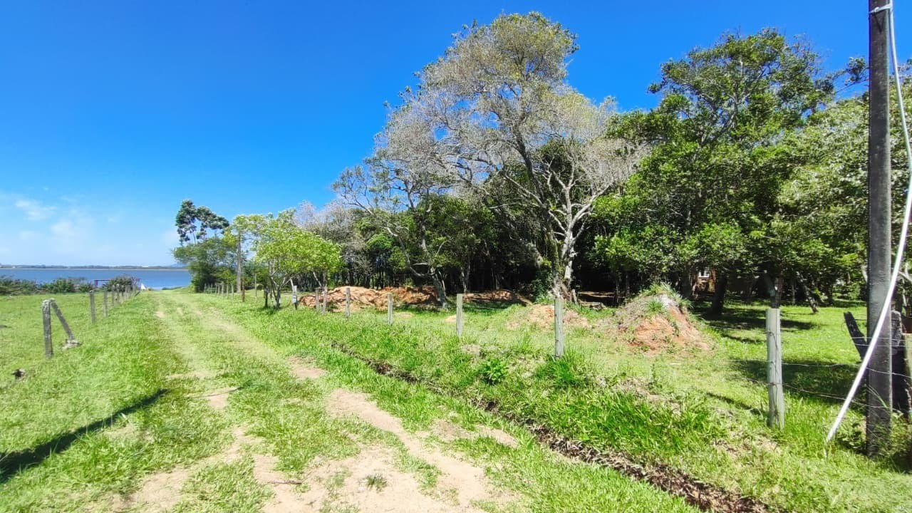 Terreno, 2609 m² - Foto 4