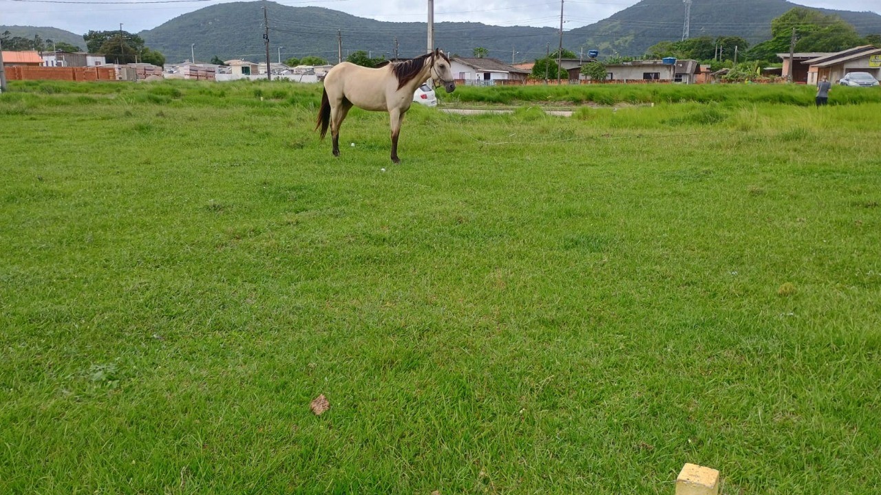 Terreno, 318 m² - Foto 4