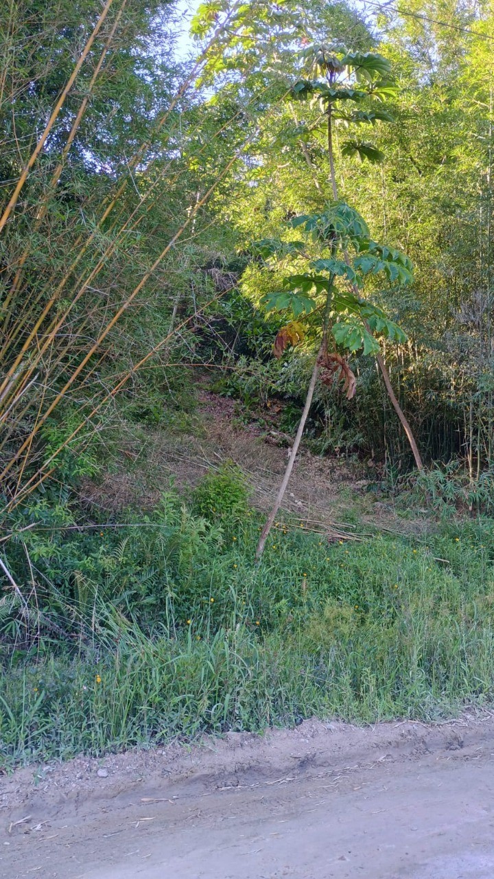 Terreno, 560 m² - Foto 1