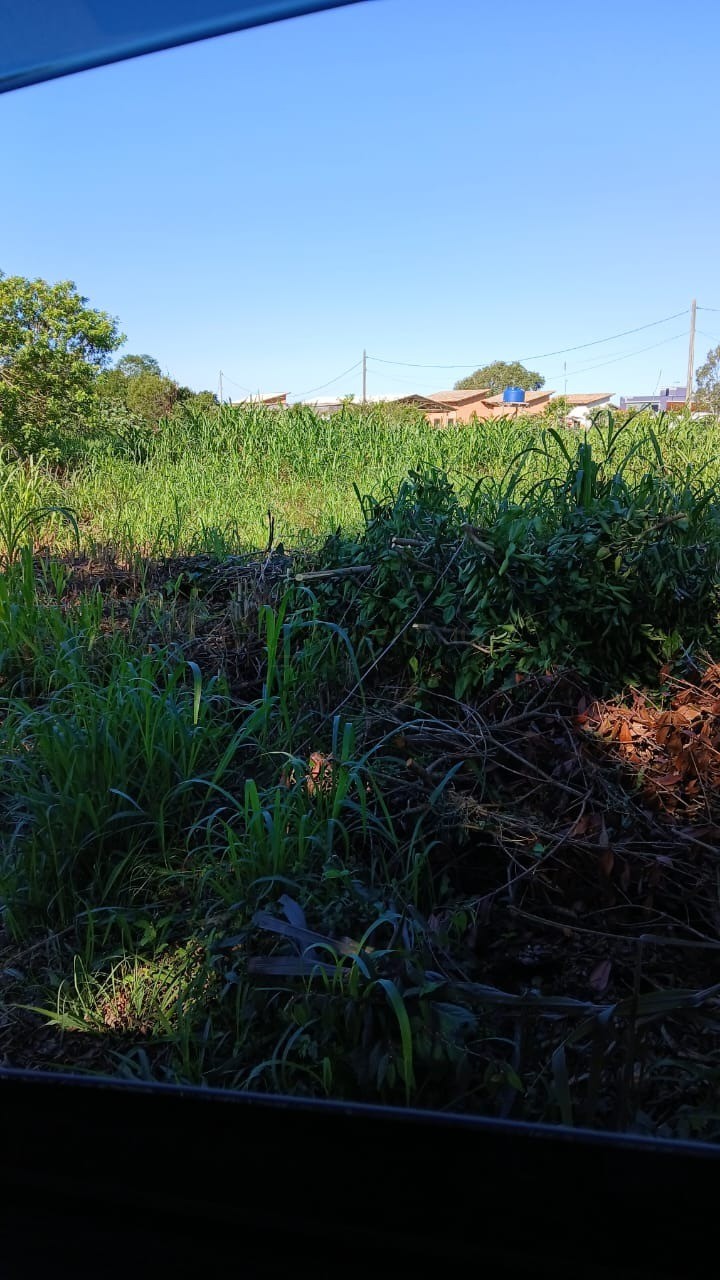 Terreno, 4773 m² - Foto 6