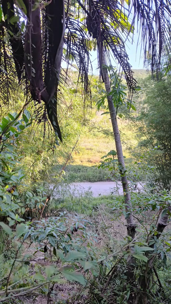 Terreno, 560 m² - Foto 13