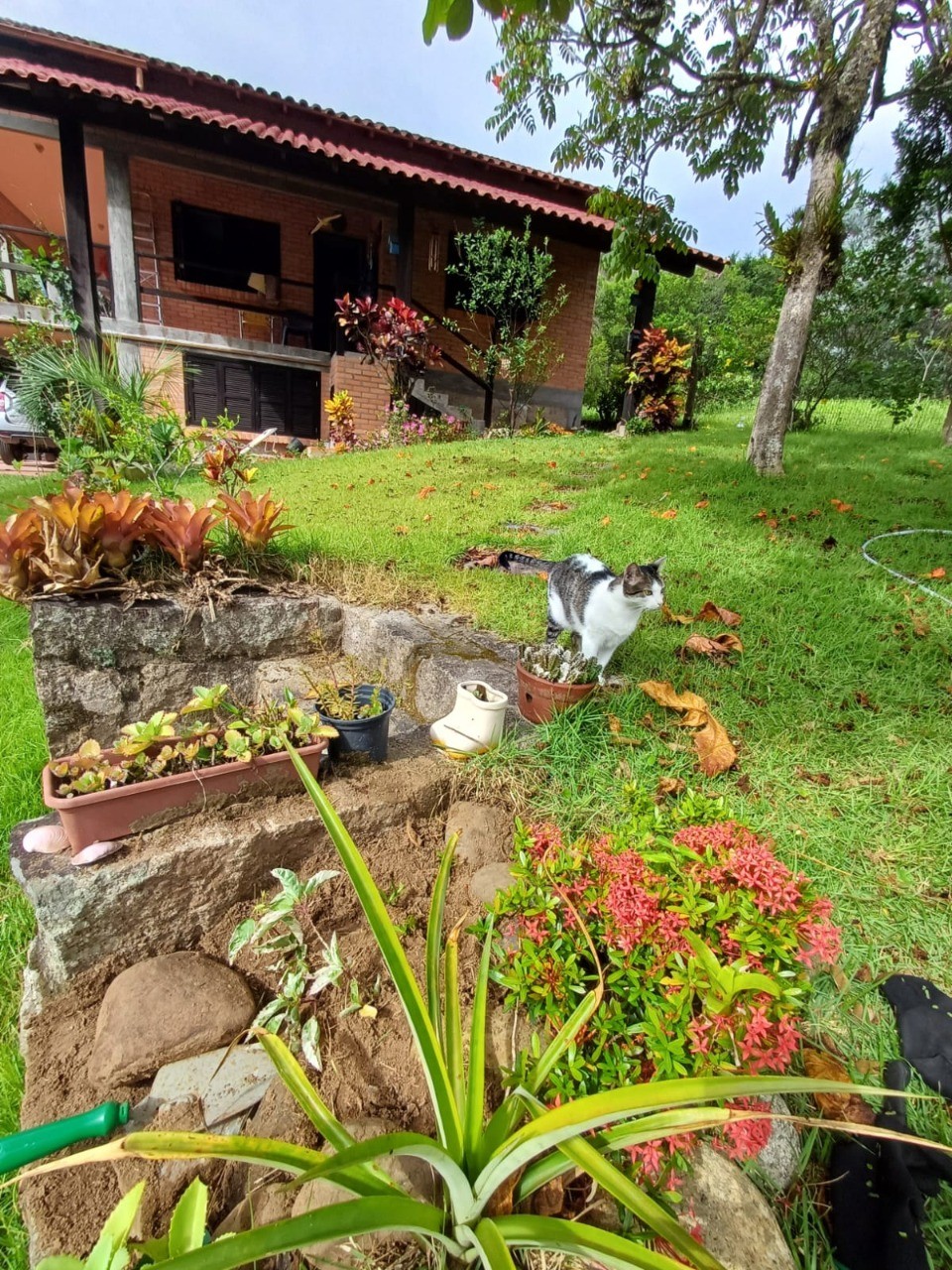 Casa, 3 quartos - Foto 3