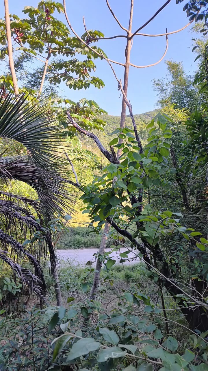 Terreno, 560 m² - Foto 10