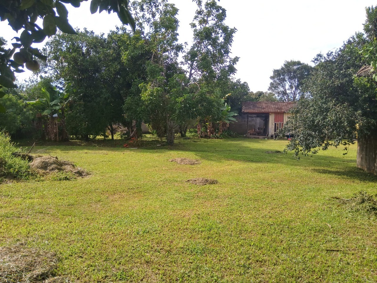 Prédio Inteiro - Foto 5