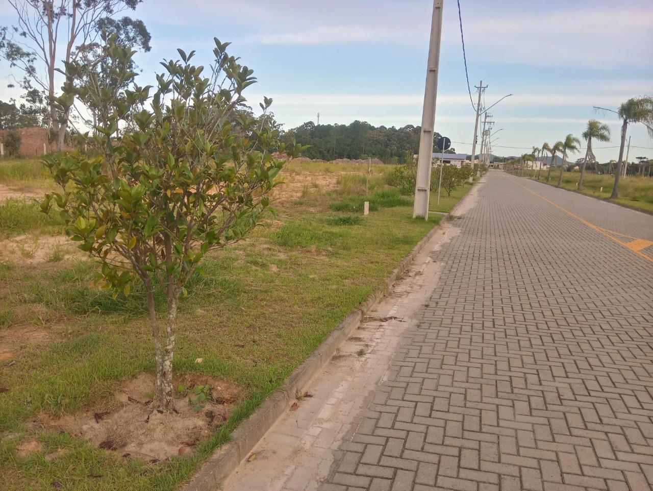 Terreno, 360 m² - Foto 8