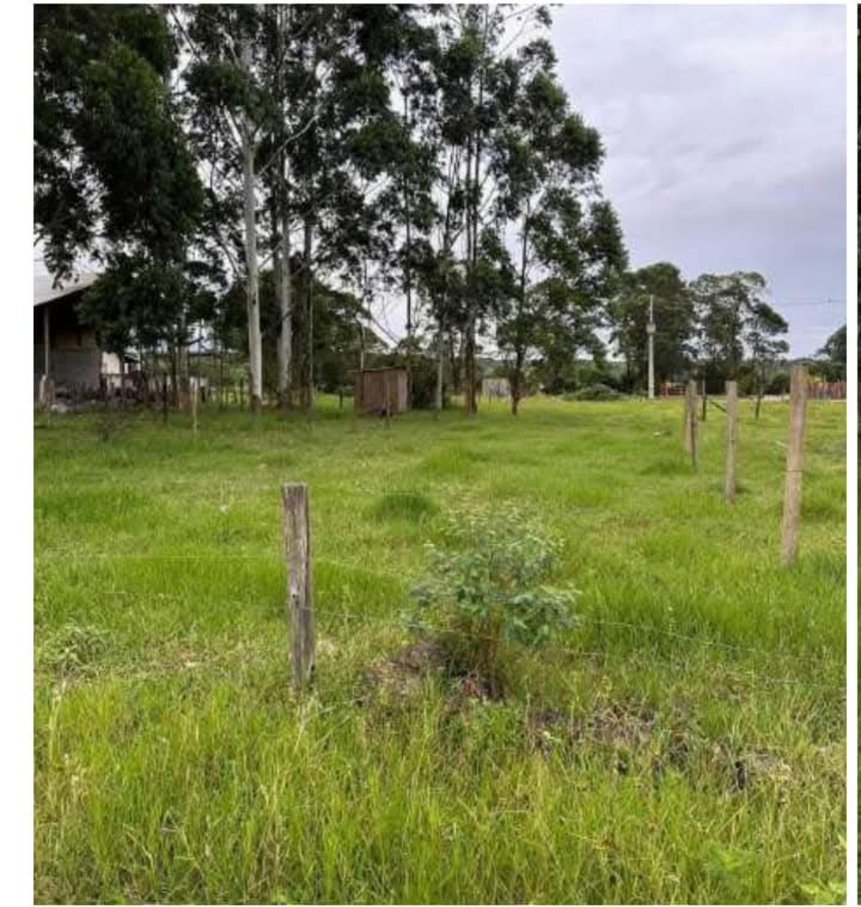 Terreno, 367 m² - Foto 4
