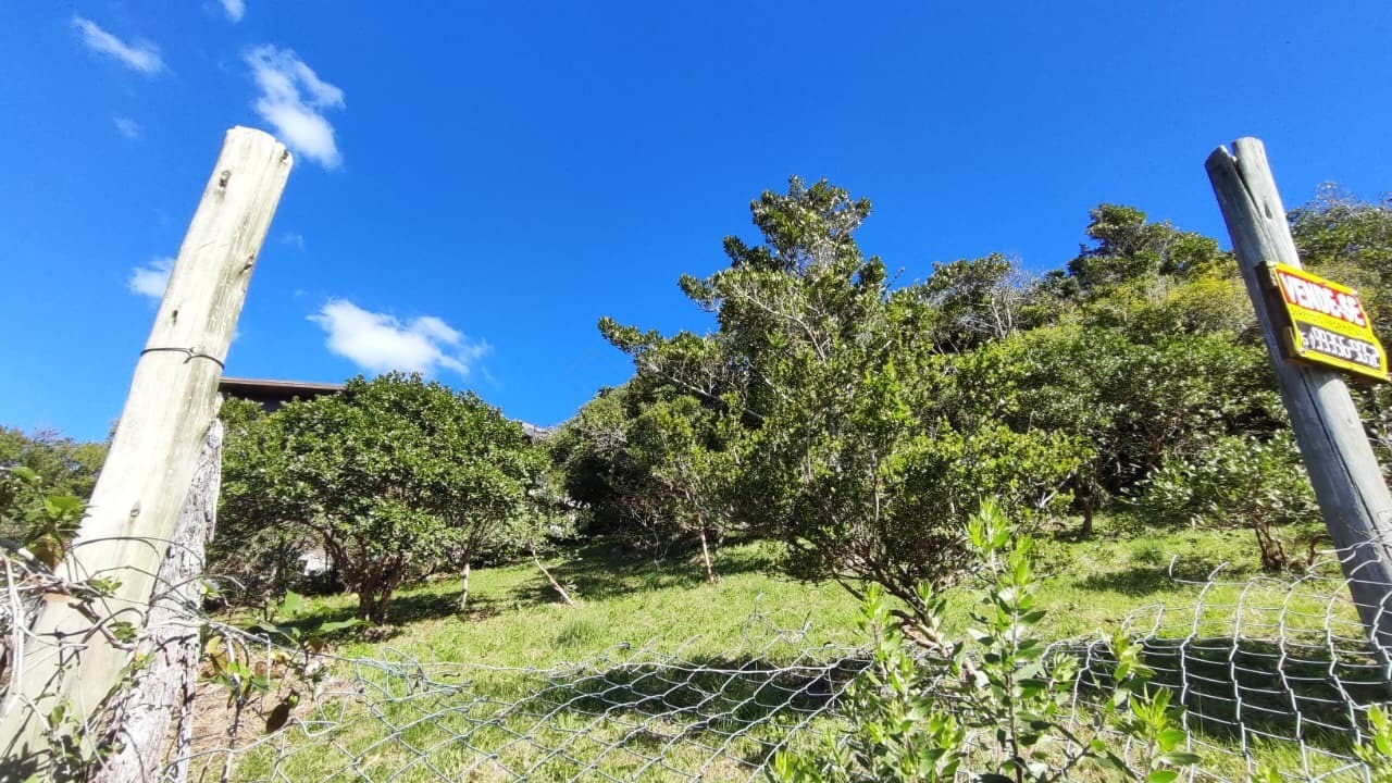 Terreno, 1058 m² - Foto 11