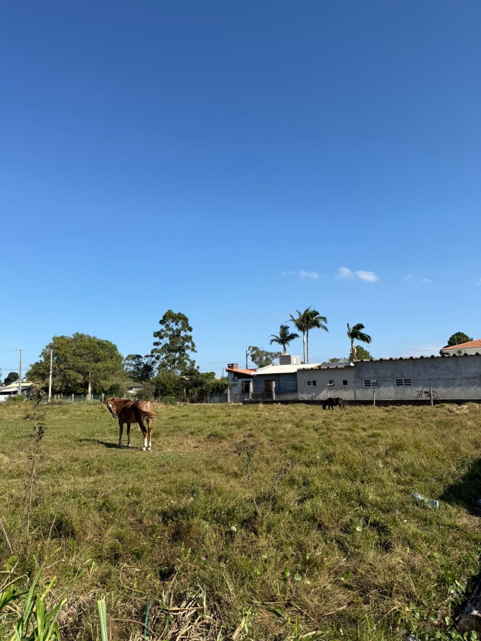 Terreno, 456 m² - Foto 18