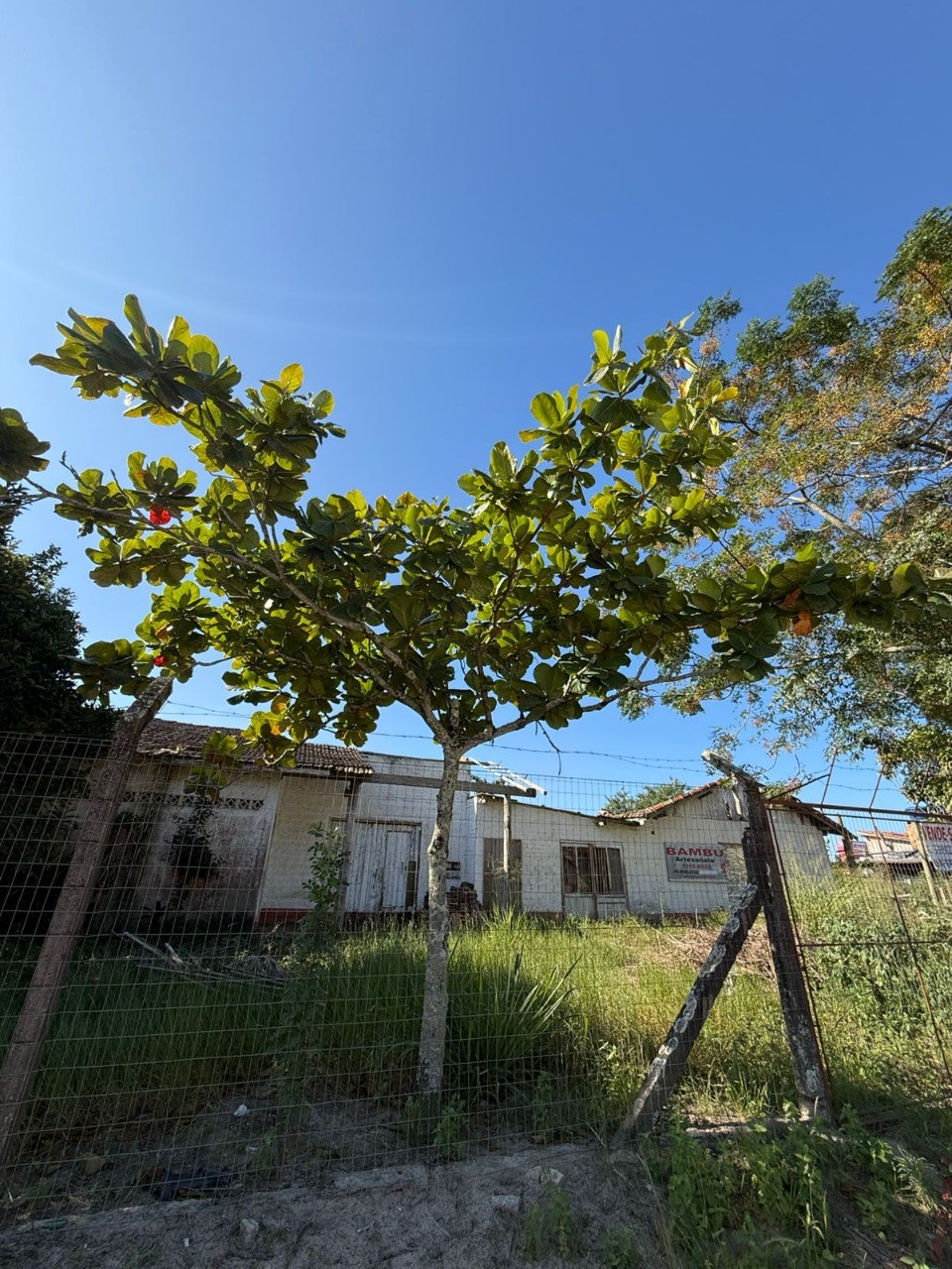 Terreno, 640 m² - Foto 15