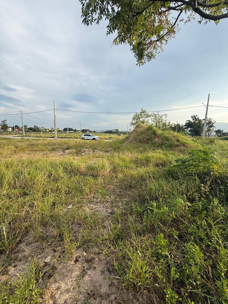 Terreno, 360 m² - Foto 11