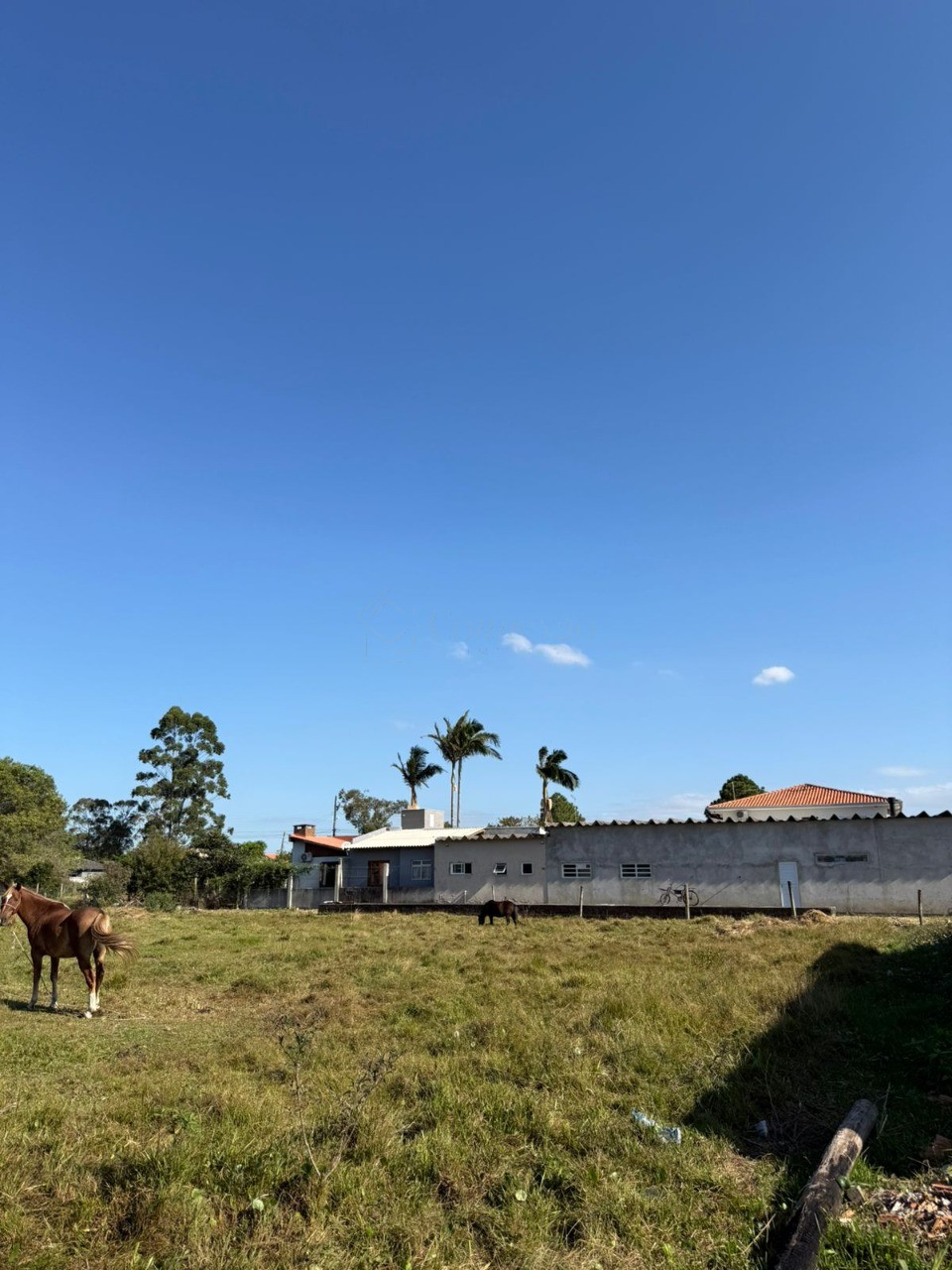 Terreno, 456 m² - Foto 13